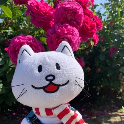 みゅうたん☺︎