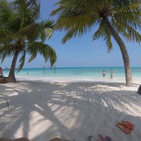 Maurizio090801 ♥️🇮🇹🇪🇺♥️ #Io❤PD