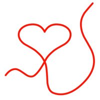 De rode draad 🇳🇱