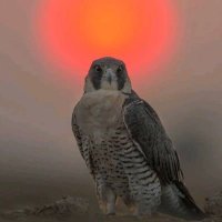 Vairitamil🏌🏻‍♂️