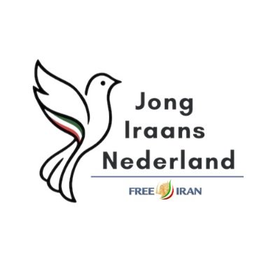 Jong Iraans Nederland
