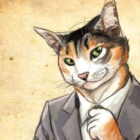 The CEO Cat