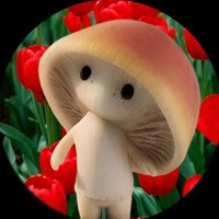 𝕊𝕒𝕣𝕒𝕙 ✞ 🍄