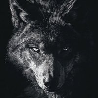 Alfa Kehribar🇹🇷