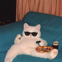 🪜pimfahh☀︎︎ ft.ภพเธอ