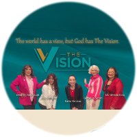 The Vision TV Show