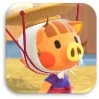 ガチャ🐶🌰　🦅