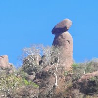 Sharla🇪🇹 ሻርላ 莎拉