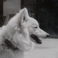 東方院いくと Age75