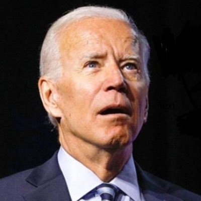 Bitcoin singularity.