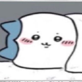 にこれるあんち