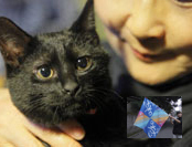 大木晴子・「明日も晴れ」