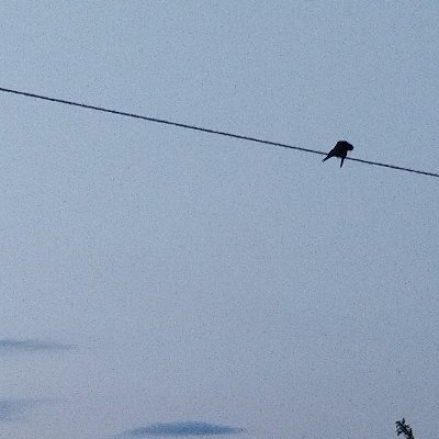 モバイル マダオダマ(山口 山彦）