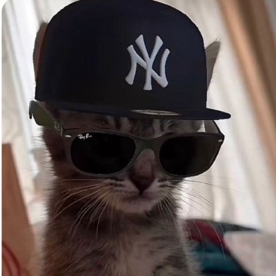 delightedcute (Ø,G) ⌘🛠️