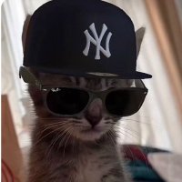 delightedcute (Ø,G) ⌘🛠️