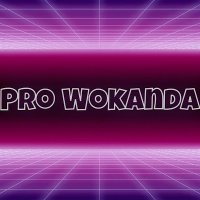 Pro Wokanda (ProWokanda)