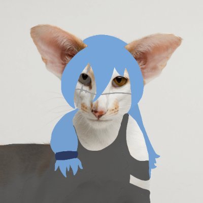 cat monhito of 🍎twt!