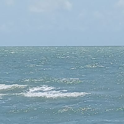 “PNut” JB 🇺🇸