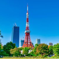 シェへ| アラフィフ視点