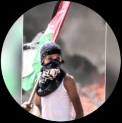 Quetzal19 🇵🇸 🇷🇺 Gauche Gaza