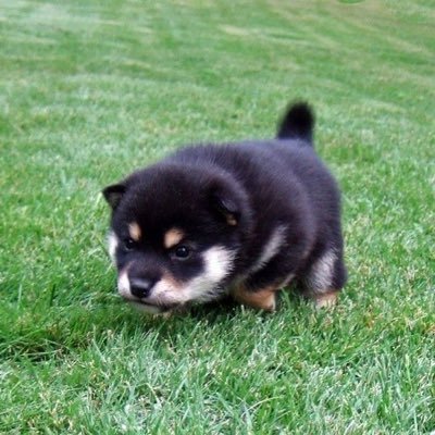 国際人権法研究・実践する会