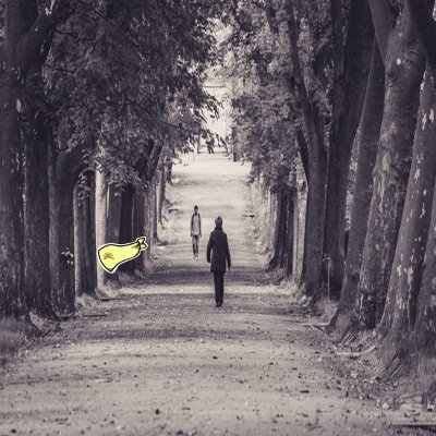 bruno esperandi| Sahara AI 🔆