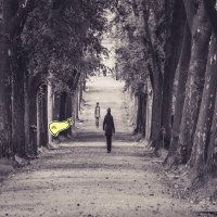 bruno esperandi| Sahara AI 🔆