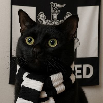 Trisuci Wilson 🐾💜🖤🤍