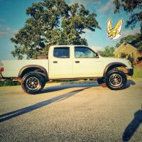 Logan sims“Reddio”(✸,✸)🔆