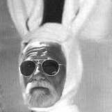 Dino's Barn & Hateful Heifers