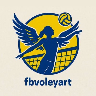 fbvoleyart