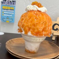 🐨🍀yanagiccho8_8⚾️🐎