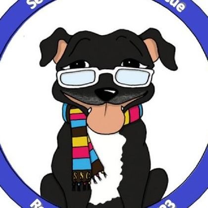 Senior Staffy Club Dog Rescue