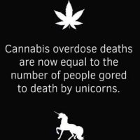 JustMe Vietnam Veteran