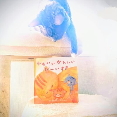 北川チハル 📕新刊🌊『池江璃花子』（世界文化社）