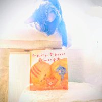 北川チハル 📕新刊🌊『池江璃花子』（世界文化社）