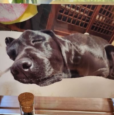 ブラックパール