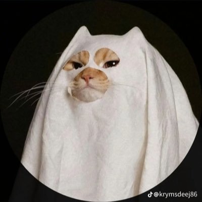 _23﹆⋆𓂅ଘ⊹ꮺ