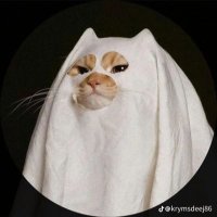 _23﹆⋆𓂅ଘ⊹ꮺ