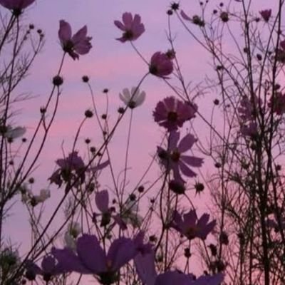 ❁❁𝐢𝐭𝐳_𝐂𝐡𝐚𝐫𝐚𝐧𝐣𝐞𝐞𝐭❁❁⋆༆•