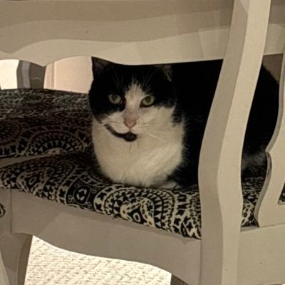 Marty Kottick 🇨🇦🎬📺🎮🎵