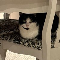 Marty Kottick 🇨🇦🎬📺🎮🎵