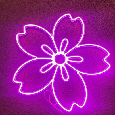 Laura Santini ☀️⭐️⭐️⭐️🇦🇷