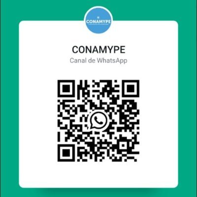CONAMYPESV