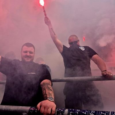 𝓣𝓸𝓹𝓬𝓾𝓙𝟎𝟑𝟖 🇳🇱