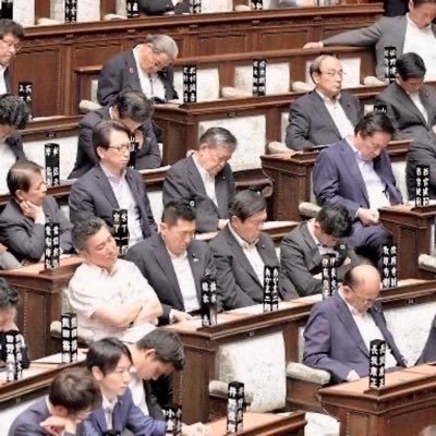 日本人の総意（Japanese opinion）