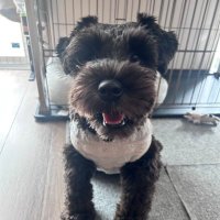 🇯🇵大和太陽🇯🇵