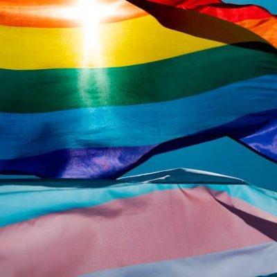 We will WIN the MIDTERMS - Volunteer NOW