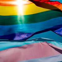 We will WIN the MIDTERMS - Volunteer NOW