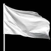 weisser-Adler-auf-weissem-Grund